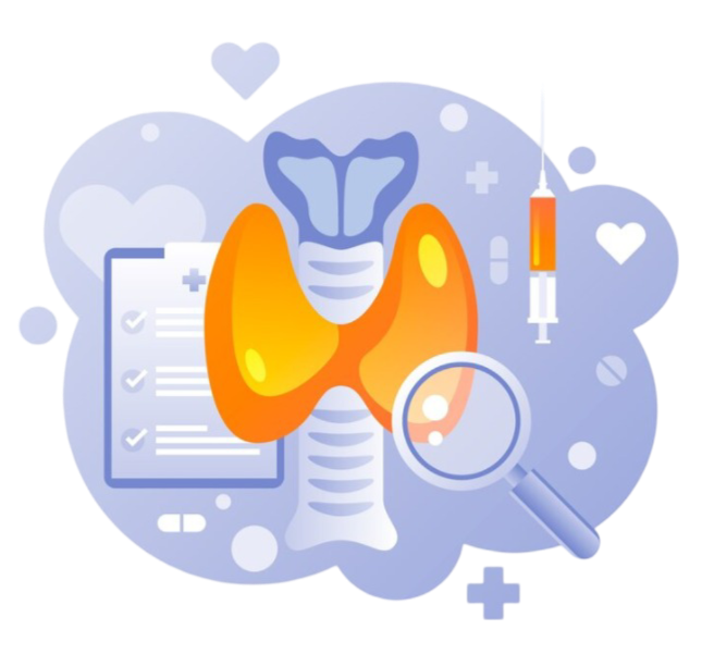 Suite de Endocrinología